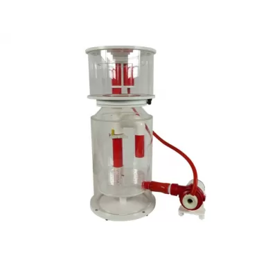 Royal Exclusiv Bubble King Double Cone 250 RDX DC 24V