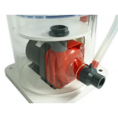 Royal Exclusiv Mini Bubble King 200 VS13 RD3 Mini Speedy Slim