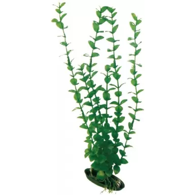 Wave Plant Classic