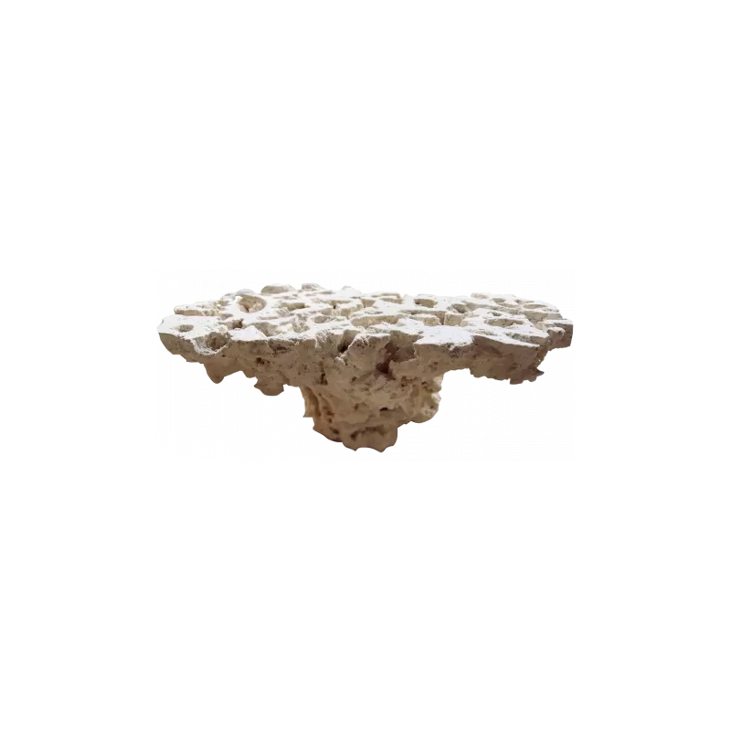 Marcorock Pedestal Rock flat top