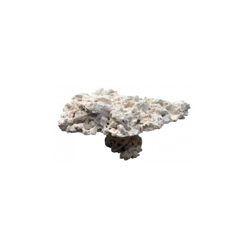 Marcorock Pedestal Rock Natural Top Marcorock Pedestal Rock Natural Top