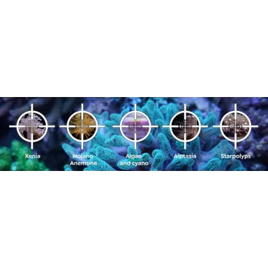 ITC Reef Delete UV C Pest Control Light