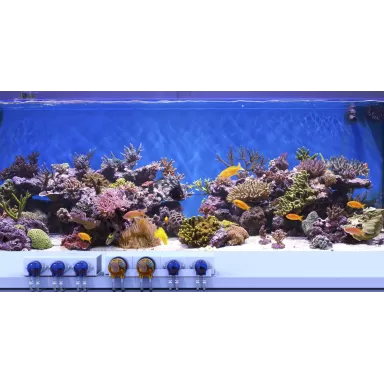 Reef Factory Dosing Pump Pro Reef Factory Dosing Pump Pro
