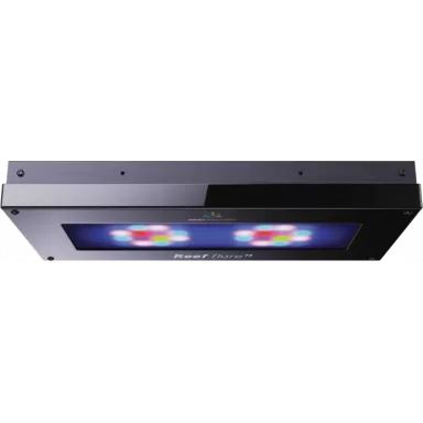 Reef Factory Reef Flare M Black 120W