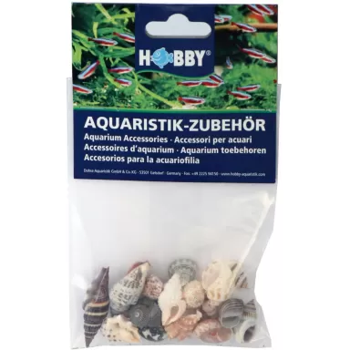Hobby decoratie sea shells set S 20 stuks