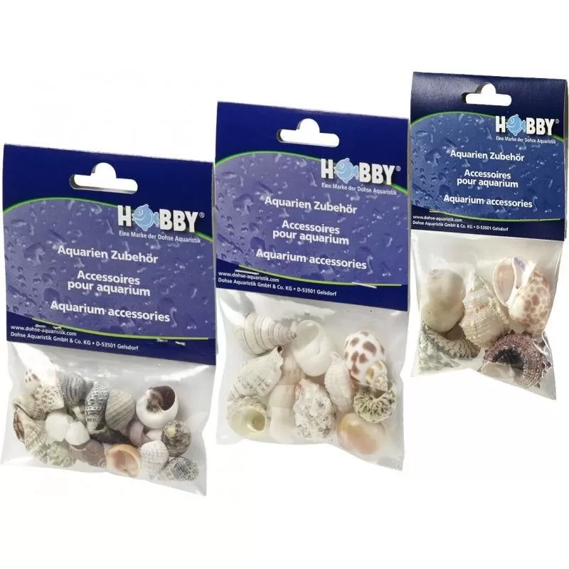 Hobby Deko Muscheln Set S - 20-tlg