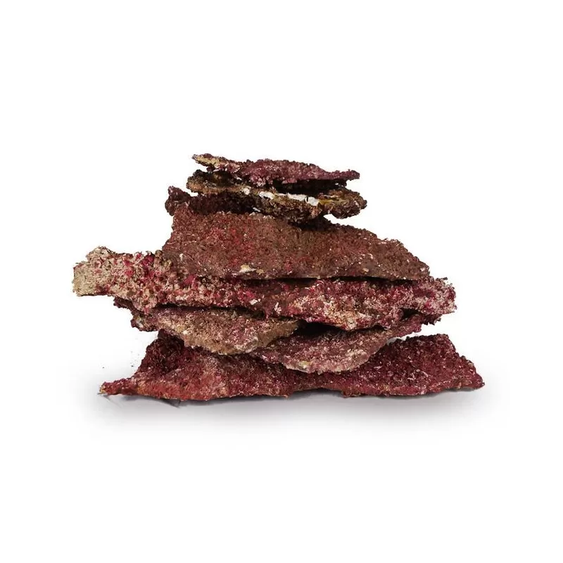 Real Reef Rock - Shelf Rock - prijs per kilo Real Reef Rock - Shelf Rock - prijs per kilo