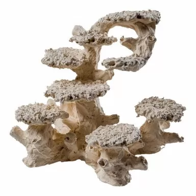 Aquaceramic Pillar L Special - right