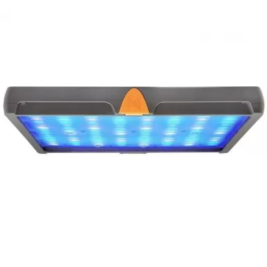 Neptune SKY LED Light EU