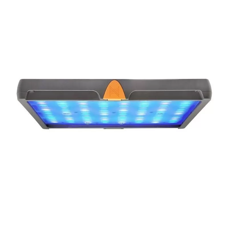 Neptune SKY LED Light EU