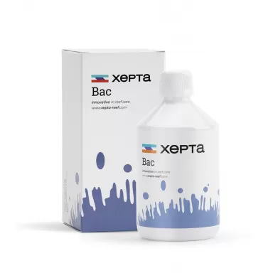XEPTA Bac 1000ml