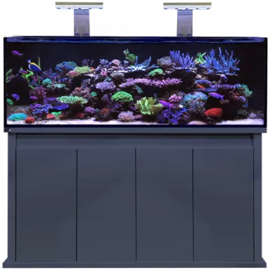 DD Reef Pro 1500 Anthrazit