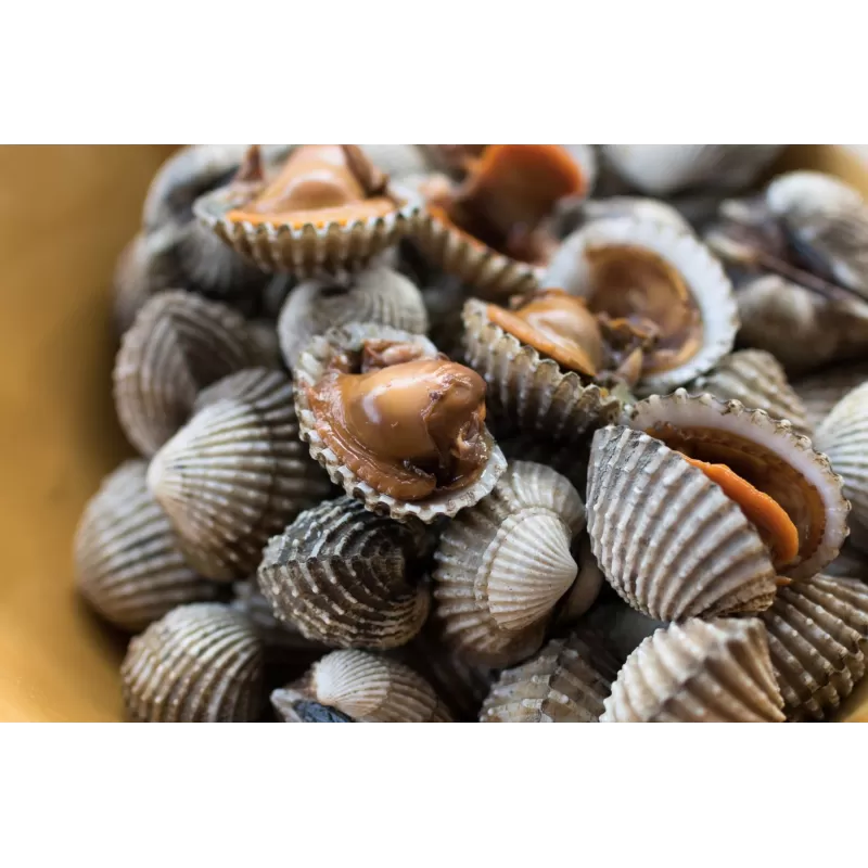 Ocean nutrition ganze Herzmuschel 100g