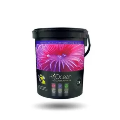 DD H2Ocean Salt Classic Formula 6,6 kg