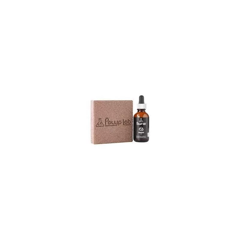 Polylab Genesis Rock Pack of 2 50 ml Genesis bottle