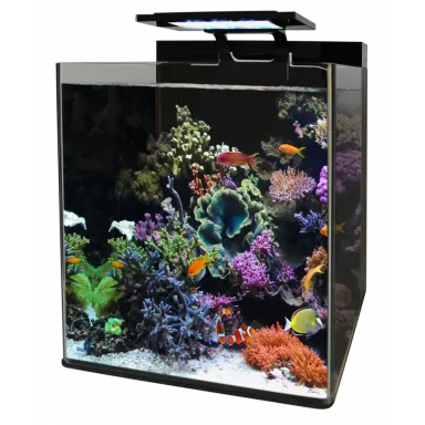 Blue marine Meeresriff 90 Aquarium