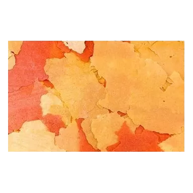 Ocean nutrition goldfish flake 71g