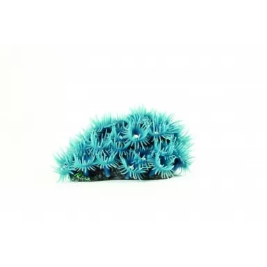 Kunstkoraal palythoa blue