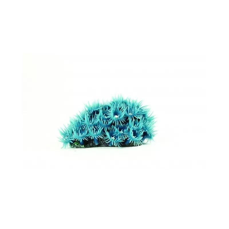 Kunstkoraal palythoa blue Kunstkoraal palythoa blue