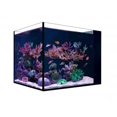 Red sea Desktop Peninsula tank