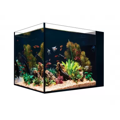 Red sea Desktop Peninsula tank