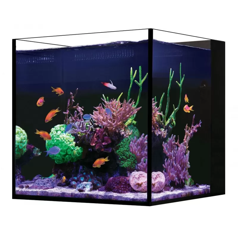 Red Sea Desktop Cube tank Red Sea Desktop Cube tank