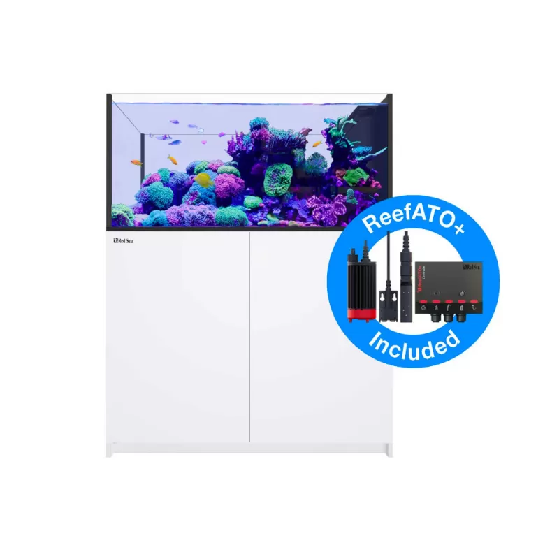Red Sea Peninsula G2+ 500 System kaufen – Weiß | Coralandfishstore.nl Red Sea Peninsula G2+ 500 System kaufen – Weiß | Coralandfishstore.nl