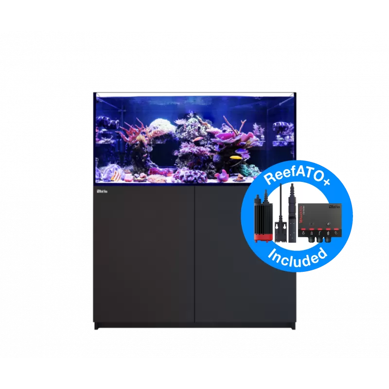 Red Sea REEFER Peninsula G2+ 350 Deluxe – Schwarz kaufen? | Coralland Fischladen Red Sea REEFER Peninsula G2+ 350 Deluxe – Schwarz kaufen? | Coralland Fischladen