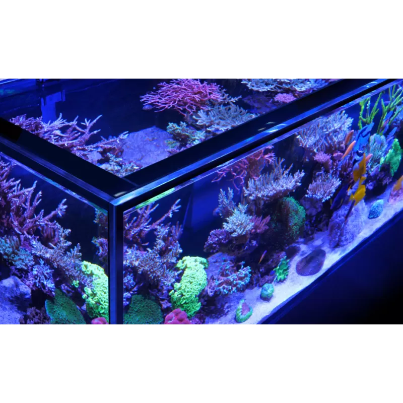 Red Sea REEFER Peninsula G2+ 350 Deluxe – Weiß | Coralandfishstore.nl Red Sea REEFER Peninsula G2+ 350 Deluxe – Weiß | Coralandfishstore.nl