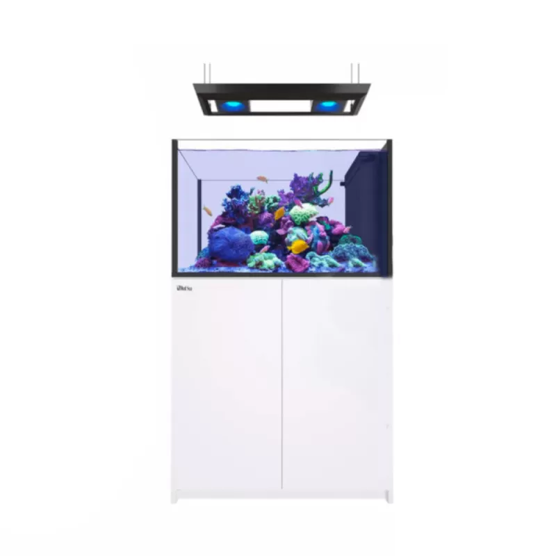 Red Sea REEFER Peninsula G2+ 350 Deluxe – Weiß | Coralandfishstore.nl Red Sea REEFER Peninsula G2+ 350 Deluxe – Weiß | Coralandfishstore.nl