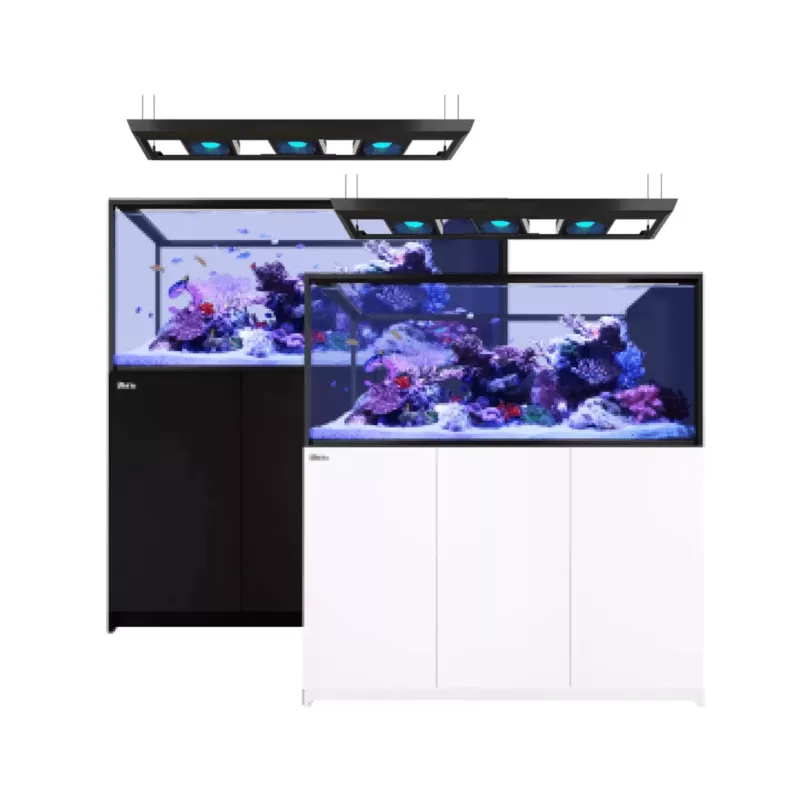 Red sea REEFER Peninsula G2 S-700 ✔ Einfach online bestellen! ✔ Niedrigster Preis Red sea REEFER Peninsula G2 S-700 ✔ Einfach online bestellen! ✔ Niedrigster Preis