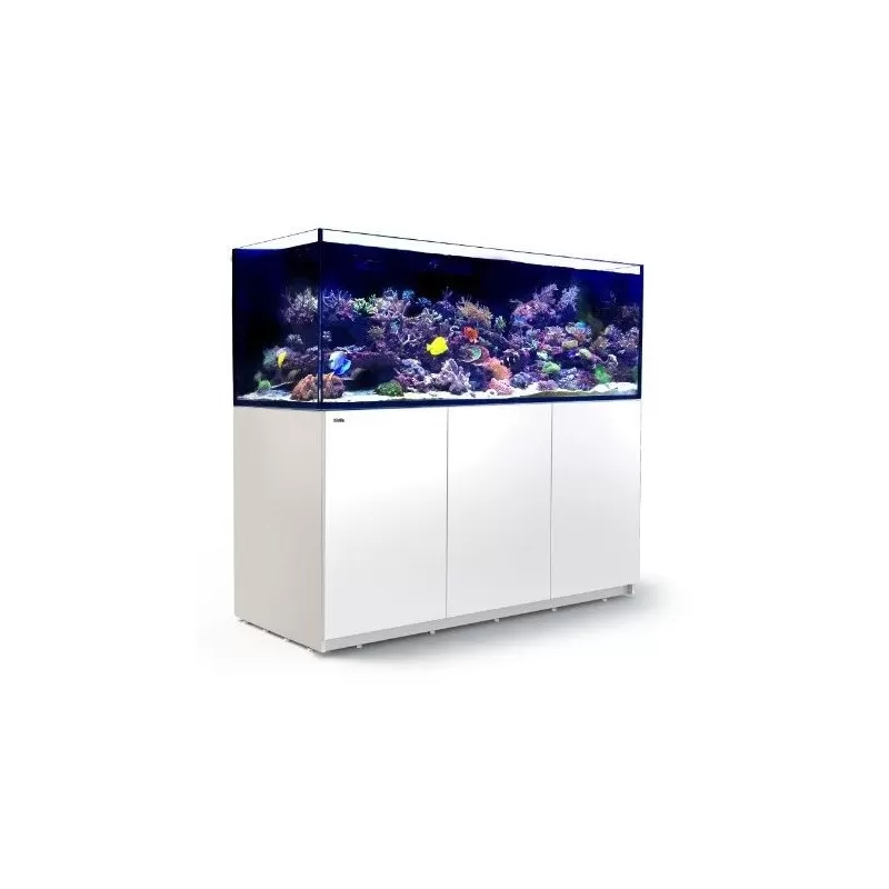 Kaufen Sie Red Sea REEFER™ 750 System G2 – Weiß | Coralandfishstore.nl Kaufen Sie Red Sea REEFER™ 750 System G2 – Weiß | Coralandfishstore.nl
