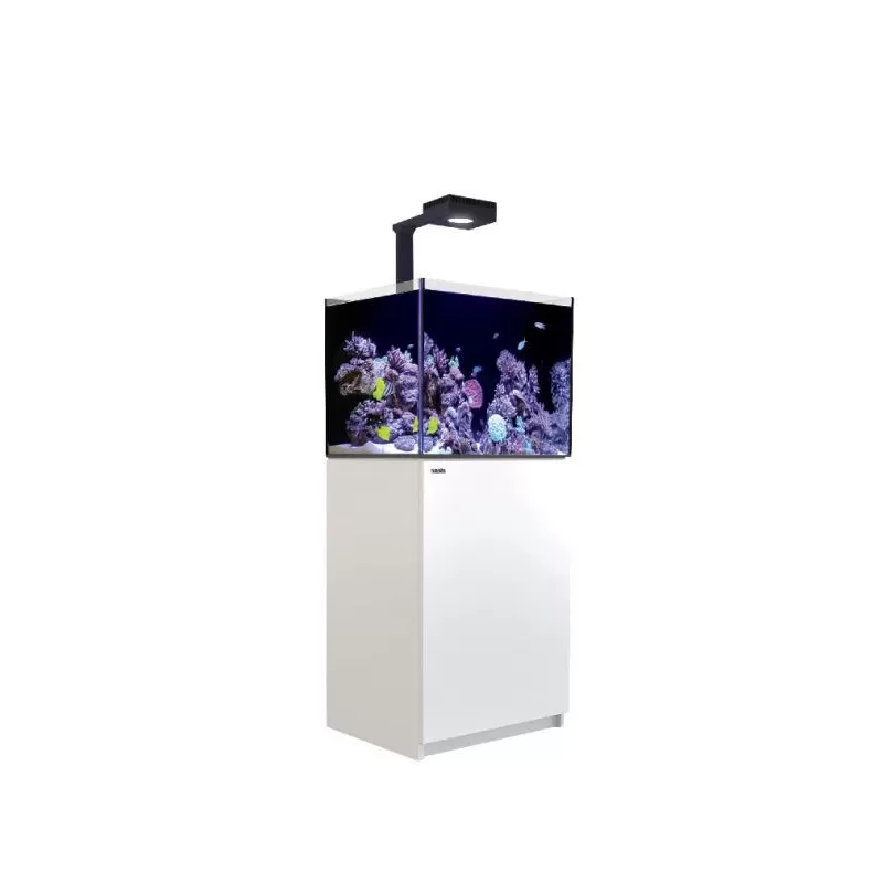 REEFER™ 170 Komplettsystem G2 Deluxe – Weiß (inkl. 1 x RL90 und Montagearm) | Coralandfishstore.nl REEFER™ 170 Komplettsystem G2 Deluxe – Weiß (inkl. 1 x RL90 und Montagearm) | Coralandfishstore.nl