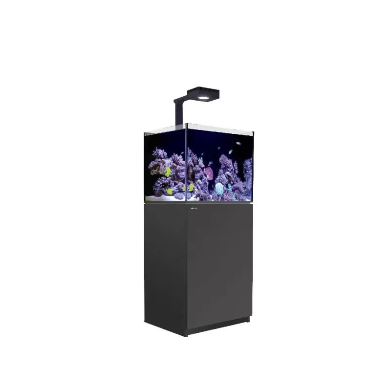 Möchten Sie Red Sea Reefer 170 G2+ Deluxe Black kaufen? | Coralandfishstore.nl Möchten Sie Red Sea Reefer 170 G2+ Deluxe Black kaufen? | Coralandfishstore.nl