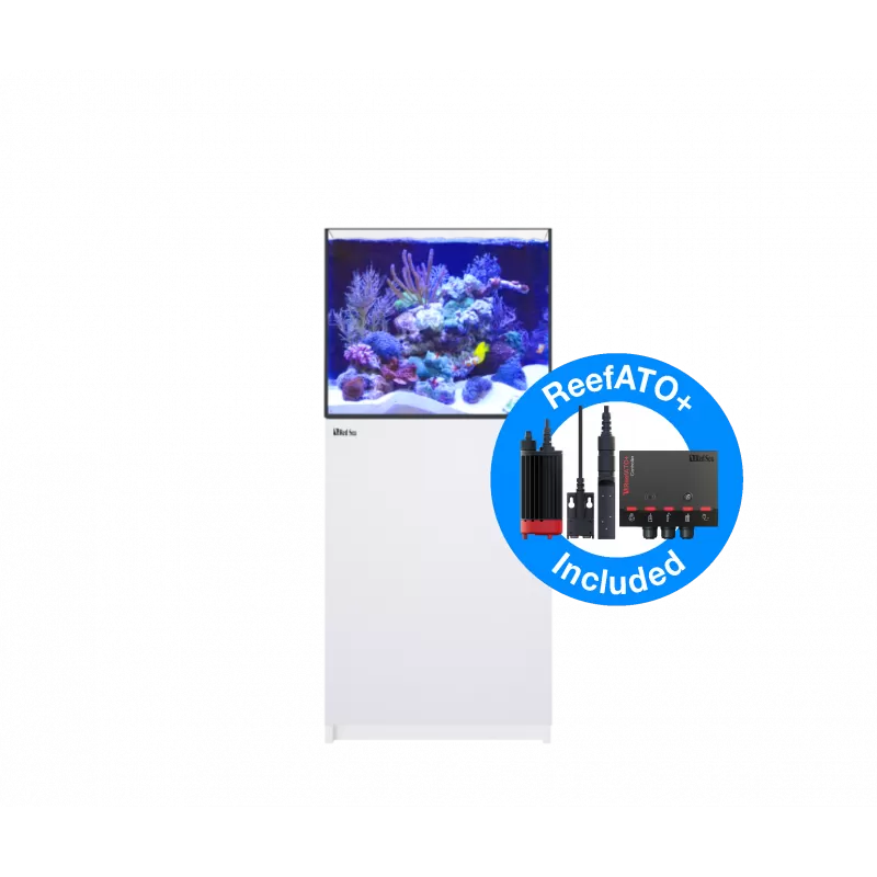 Möchten Sie Red Sea Reefer 200 G2+ Deluxe White kaufen? l Coralandfishstore.nl Möchten Sie Red Sea Reefer 200 G2+ Deluxe White kaufen? l Coralandfishstore.nl