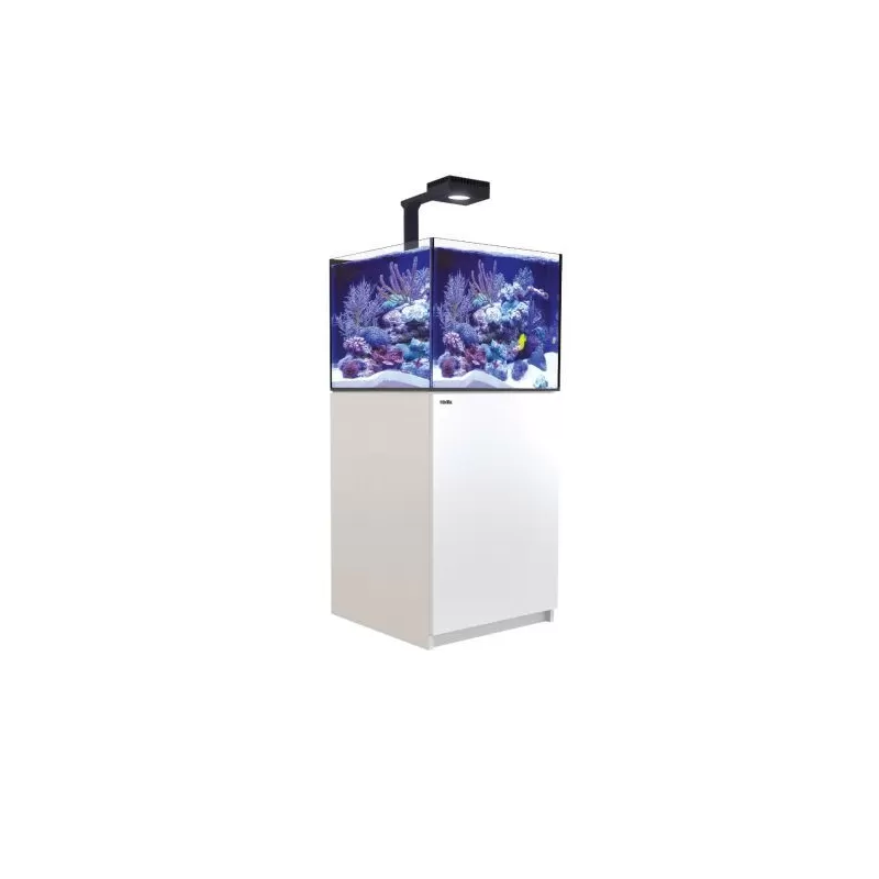 Möchten Sie Red Sea Reefer 200 G2+ Deluxe White kaufen? l Coralandfishstore.nl Möchten Sie Red Sea Reefer 200 G2+ Deluxe White kaufen? l Coralandfishstore.nl