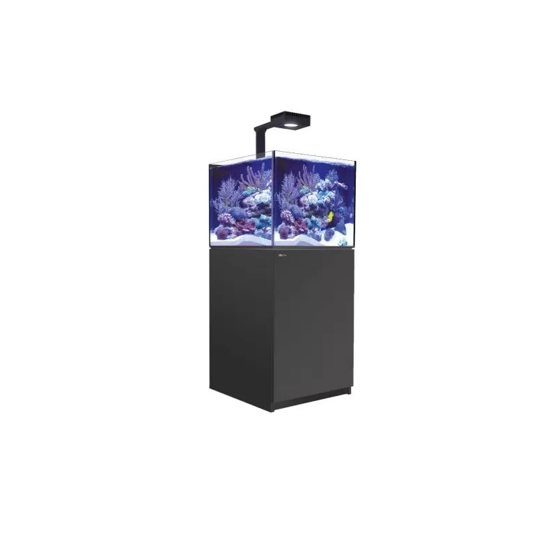 Red Sea Reefer 200 G2+ Deluxe Black kaufen | Coralandfishstore.nl Red Sea Reefer 200 G2+ Deluxe Black kaufen | Coralandfishstore.nl