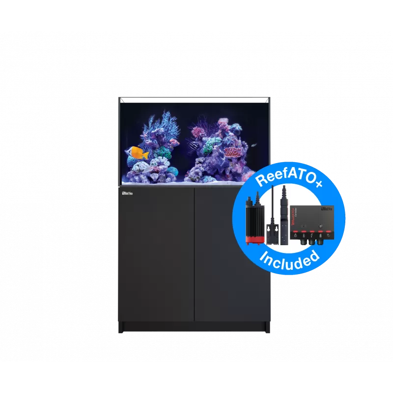 Red Sea Reefer 250 G2+ Schwarz – Komplettes Riff-Aquarium-Set Red Sea Reefer 250 G2+ Schwarz – Komplettes Riff-Aquarium-Set