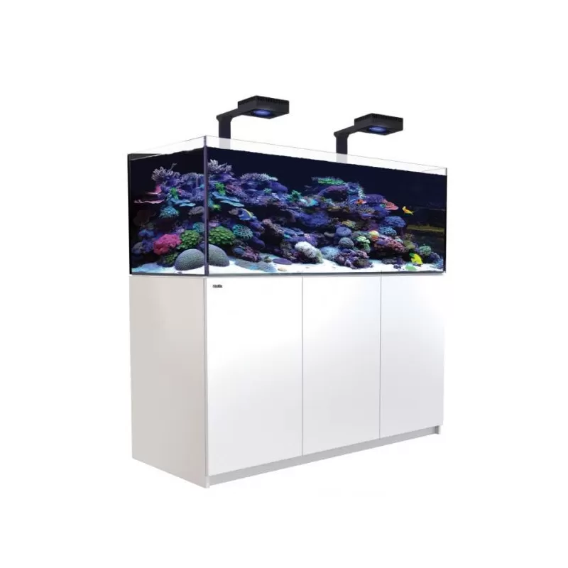 Red Sea Reefer 525 G2+ Deluxe Weiß (inkl. RL170) l Coralandfishstore.nl Red Sea Reefer 525 G2+ Deluxe Weiß (inkl. RL170) l Coralandfishstore.nl