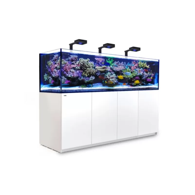 Red Sea Reefer XL 900 Deluxe System White 3 RL 160 bestellen? l Coralandfishstore.nl Red Sea Reefer XL 900 Deluxe System White 3 RL 160 bestellen? l Coralandfishstore.nl