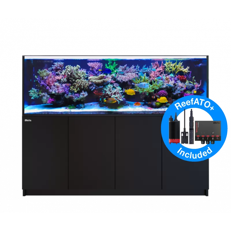 Red Sea Reefer XL 900 Deluxe System Black 3 RL 160 bestellen? l Coralandfishstore.nl Red Sea Reefer XL 900 Deluxe System Black 3 RL 160 bestellen? l Coralandfishstore.nl