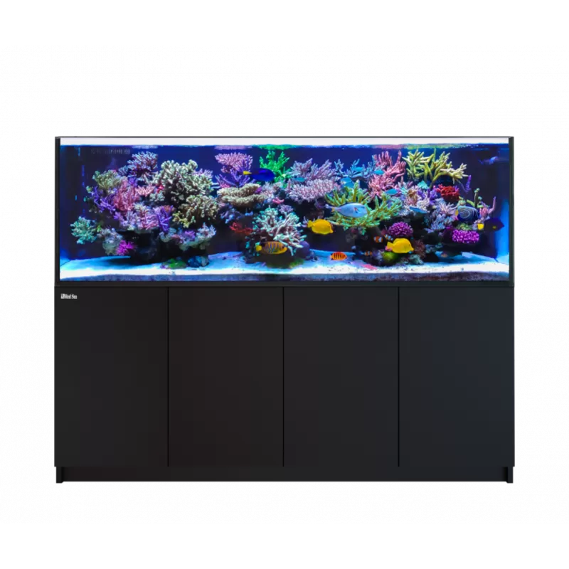 Red Sea REEFER 3XL 900 Schwarz l Coralandfishstore.nl Red Sea REEFER 3XL 900 Schwarz l Coralandfishstore.nl