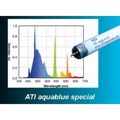aquablue special
