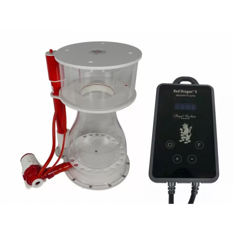 Royal Exclusiv Bubble King Double Cone 300 mit Red Dragon X