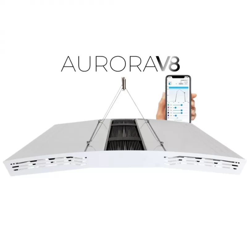 Giesemann Aurora V8 1200mm - Irridium