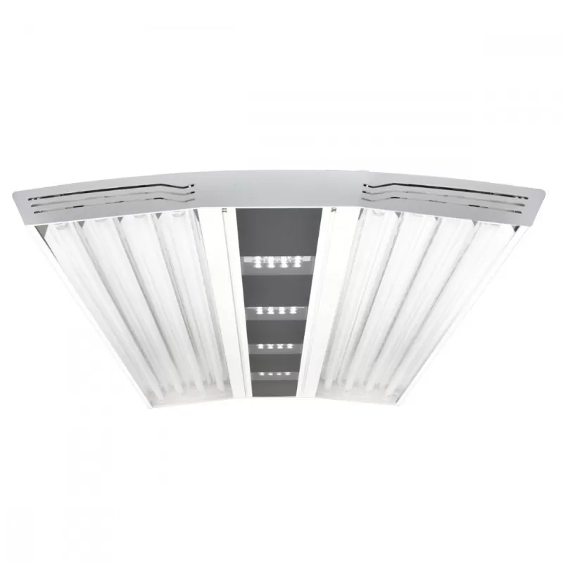 Giesemann Aurora V8 1200 mm – Irridium