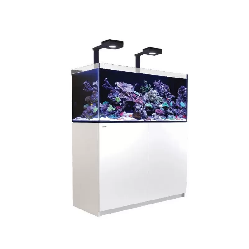 Red Sea REEFER MAX 425 G2+ Komplettsystem | Corallandfishstore Red Sea REEFER MAX 425 G2+ Komplettsystem | Corallandfishstore