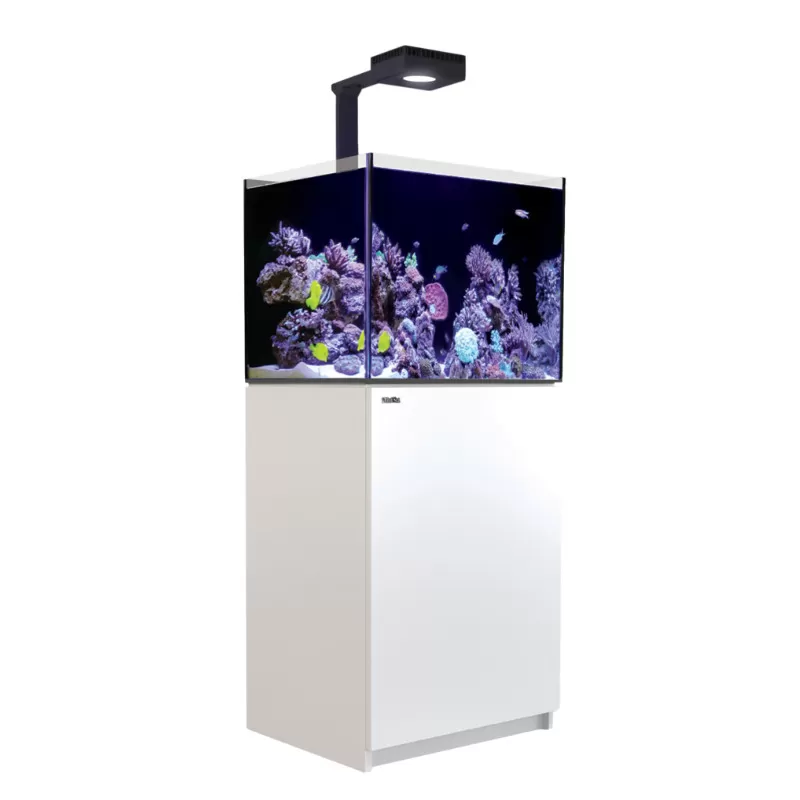 Red Sea REEFER MAX 200 G2+ Komplettsystem | Corallandfishstore Red Sea REEFER MAX 200 G2+ Komplettsystem | Corallandfishstore
