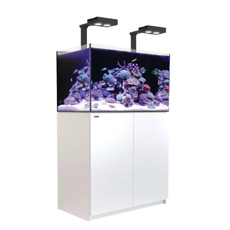 Red Sea REEFER MAX 250 G2+ Komplettsystem | Corallandfishstore