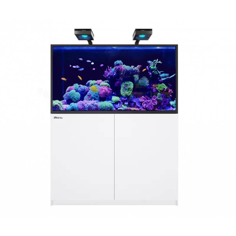Red Sea REEFER™ MAX S-550 G2+White bestellen? l Coralandfishstore.nl Red Sea REEFER™ MAX S-550 G2+White bestellen? l Coralandfishstore.nl